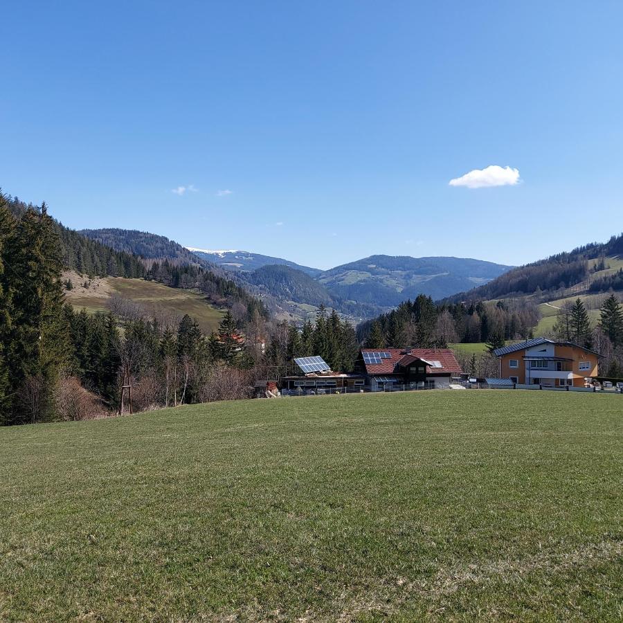 Greimblick Apartment Sankt Peter am Kammersberg Bagian luar foto